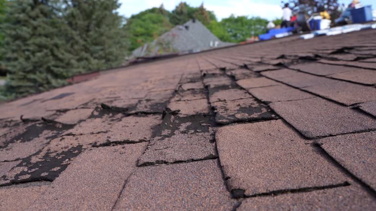 Fast & Reliable Emergency Roof Repairs in Calera, OK